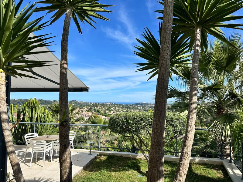 Palmiers du jardin, terrasse en contrebas