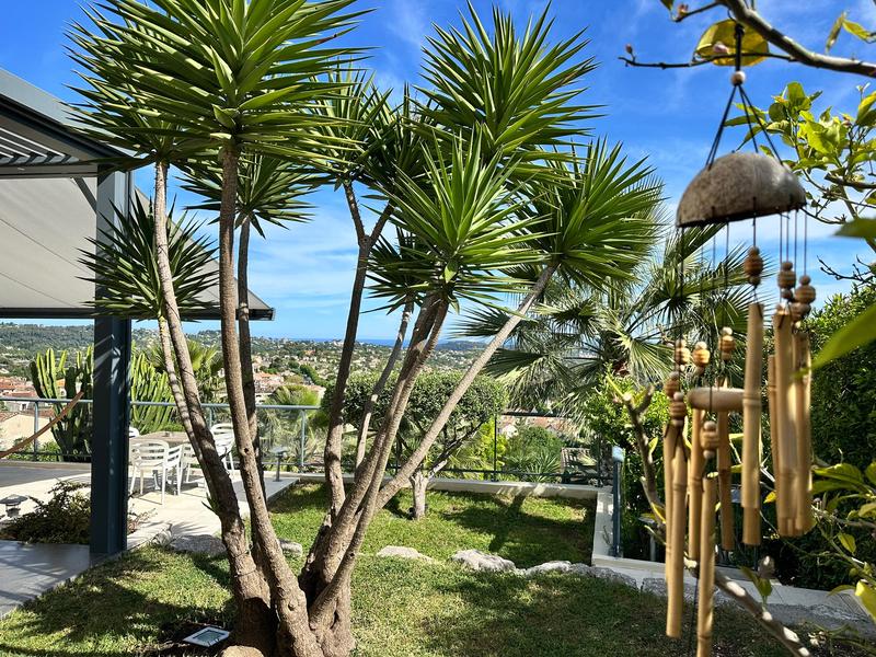Sous les yuccas, carillon et vue dégagée