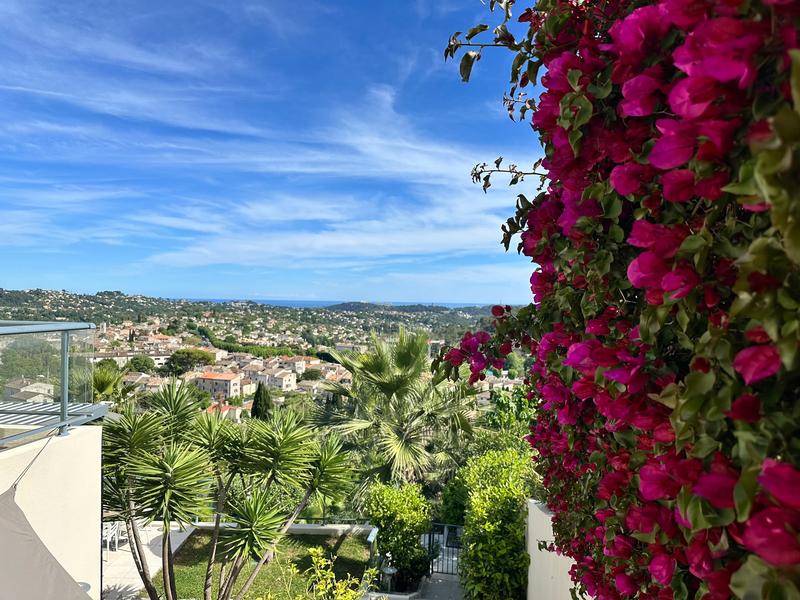 Bougainvillier en fleurs, la côte en toile de fond